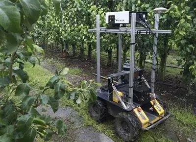 Under the panels: where robots help farming and solar grow together