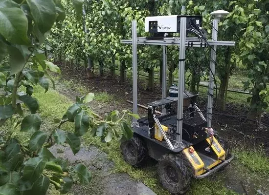 Under the panels: where robots help farming and solar grow together