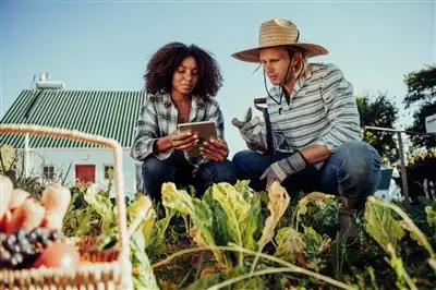 Smart is not enough: rethinking tech for small-scale farming
