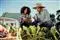 Smart is not enough: rethinking tech for small-scale farming