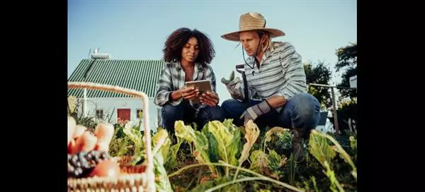 Smart is not enough: rethinking tech for small-scale farming