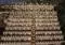 Saving a Monster: Retrofitting of Social Housing