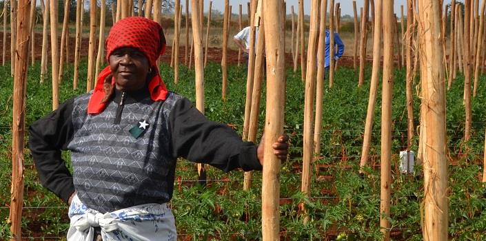 Satellites and high-tech solutions help African farmers face historic drought