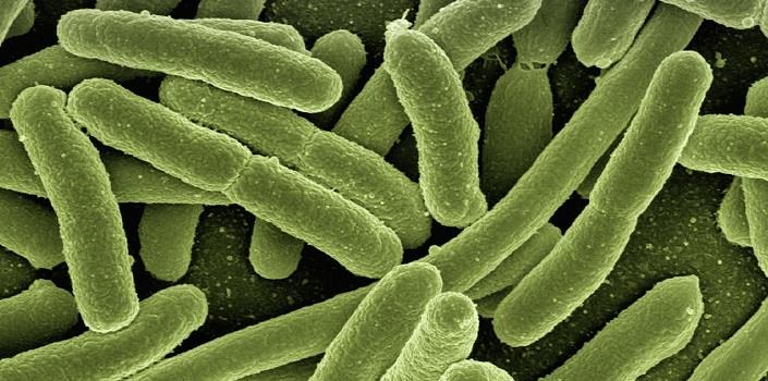 Do microbes control our mood?