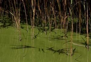 Vanishing Lakes