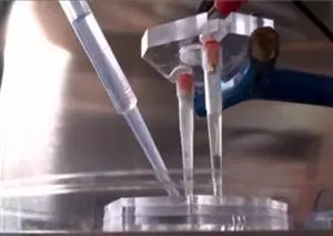 Synthetic hydrogels improve testing of active substances in 3-D cell culture