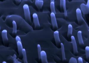 The Nano Laboratory