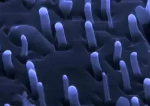 The Nano Laboratory