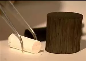 From wood to bone